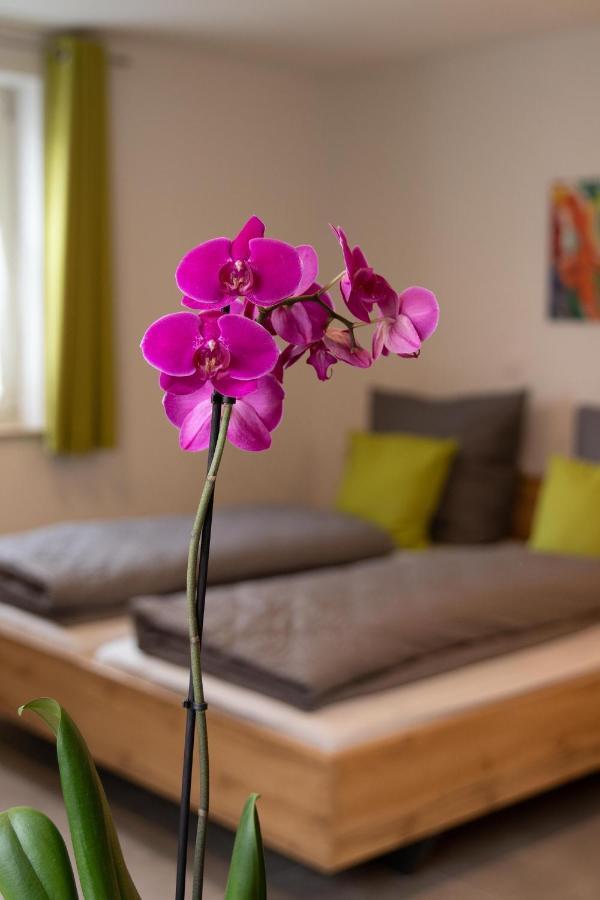 Apartment Alte Raiffeisenkasse روتنبورغ أوب در تاوبر المظهر الخارجي الصورة